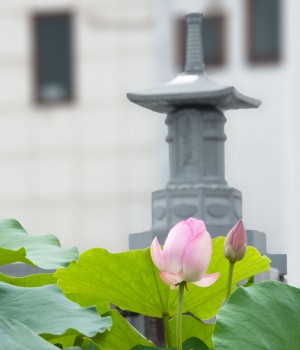 久遠の塔 久遠の塔